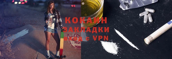 ECSTASY Пересвет