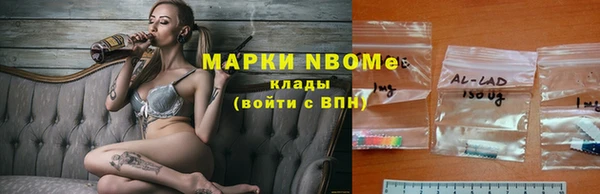 ECSTASY Пересвет