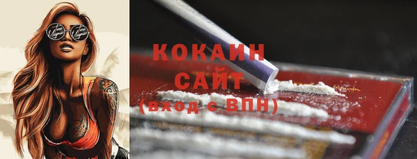 шишки Пестово