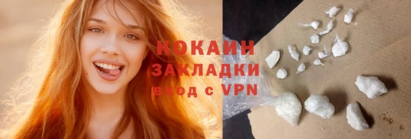 шишки Пестово