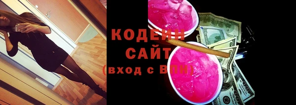 ECSTASY Пересвет