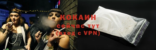 шишки Пестово