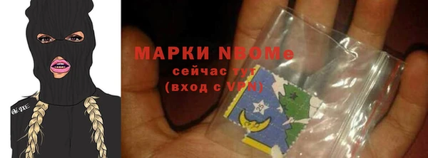ECSTASY Пересвет