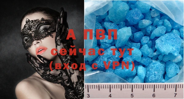 шишки Пестово