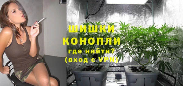 ECSTASY Пересвет
