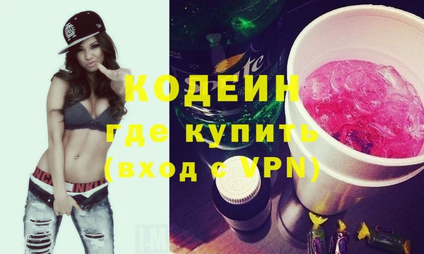 шишки Пестово