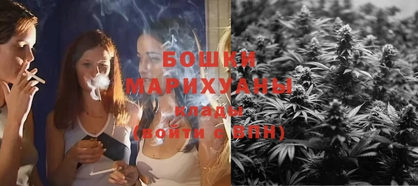 ECSTASY Пересвет