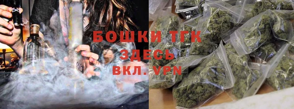 шишки Пестово