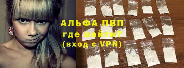 ECSTASY Пересвет