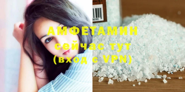 шишки Пестово